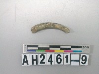 藏品(玉環殘件)的圖片